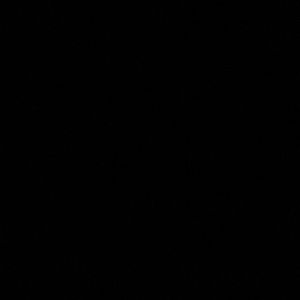 Meet your Posher, Ariel